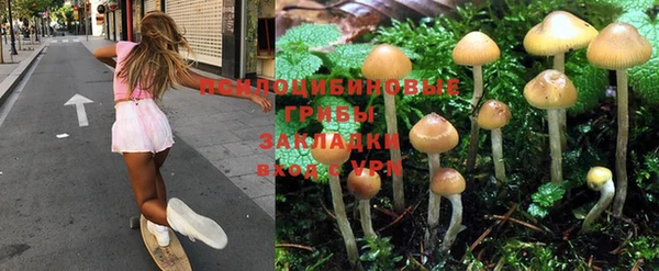 экстази Гатчина