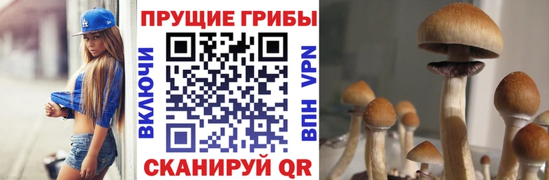 Галлюциногенные грибы мухоморы  Иланский 